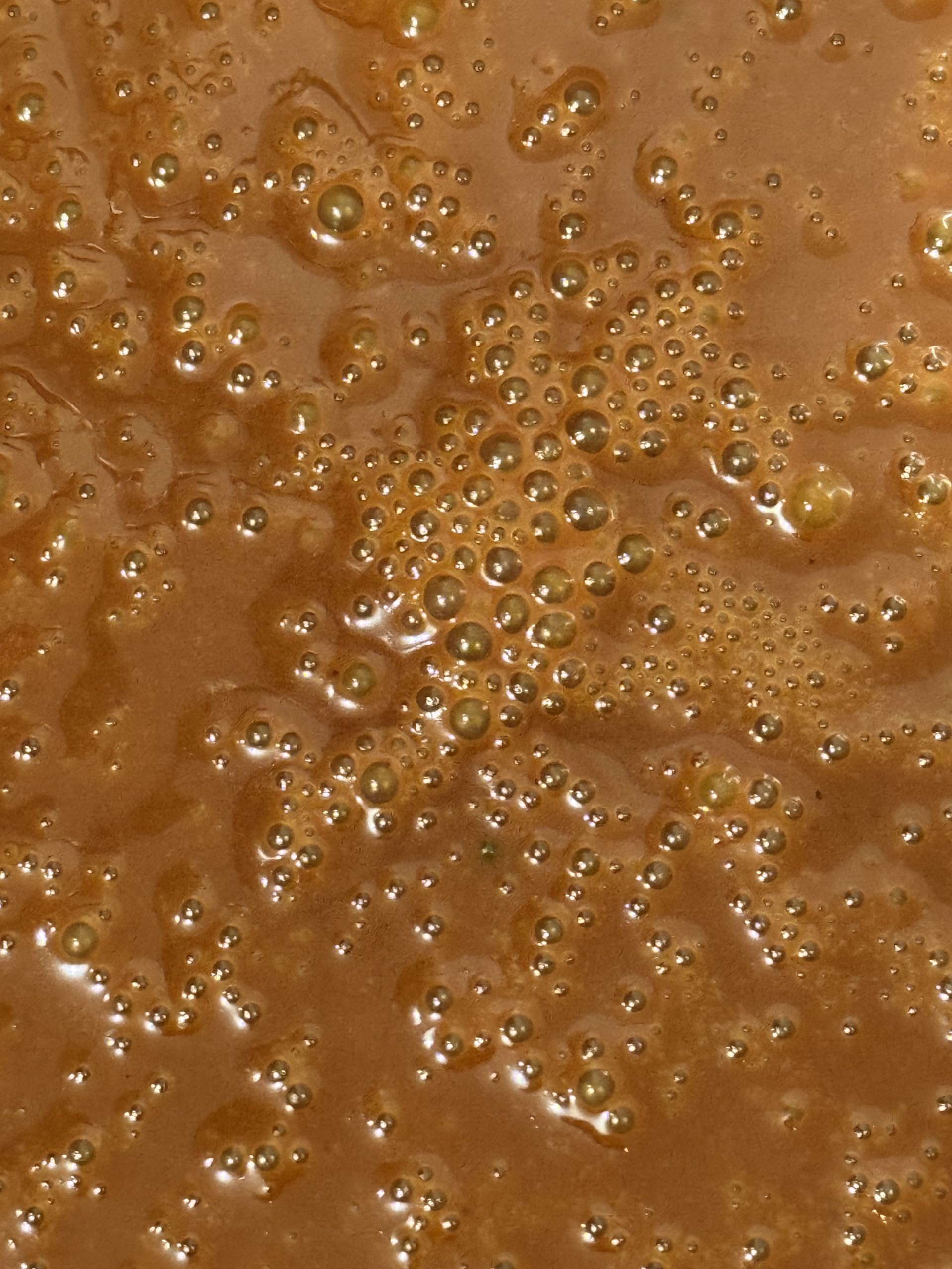 Beeghee spoonful serving reveals creamy texture ideal for daily intake.