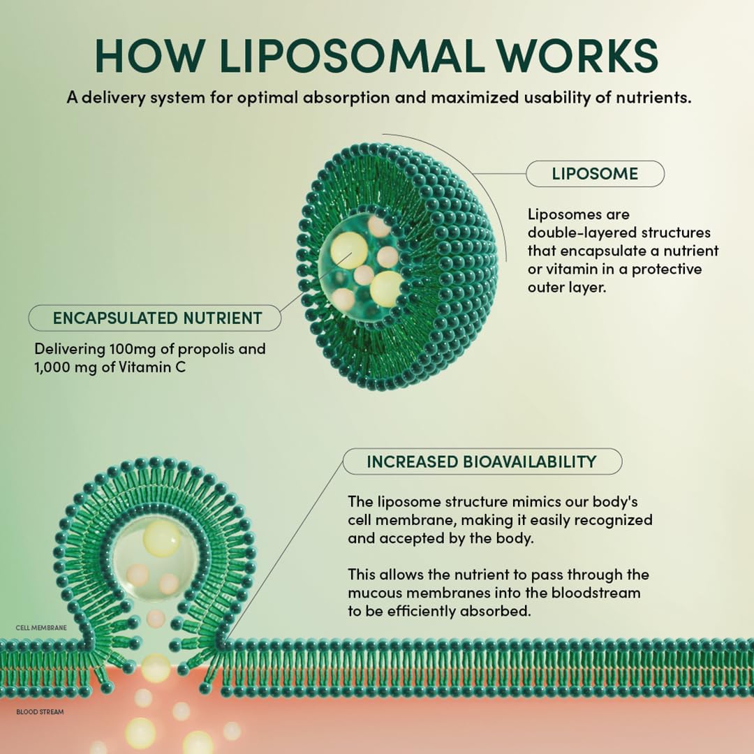 Beekeeper's Naturals liposomal delivery infographic explaining quick acting benefits