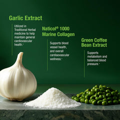 Bell Healthy Blood Pressure Support celery seed blend capsule focusing on circulatory balance.