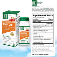 Bell Stem Cell Supplements natural algae ingredients including konbu extract on label.