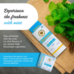 Mint fragrance with a filter delivers a gentle, pleasant draw.