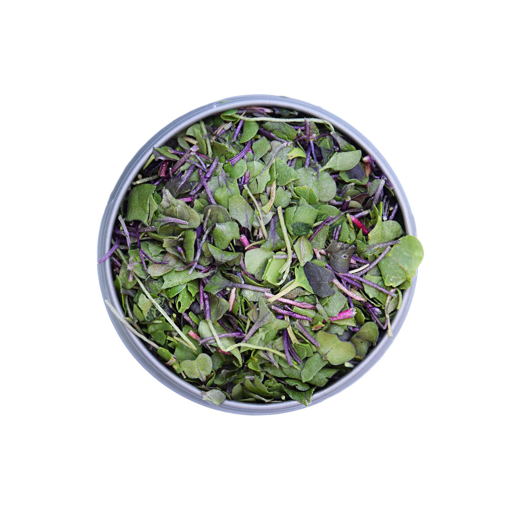 BeMicro booster blend tin highlights broccoli, cabbage, and radish for antioxidant support