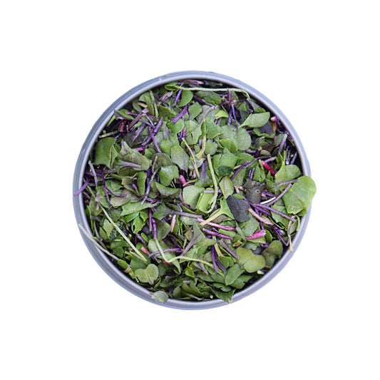 BeMicro booster blend tin highlights broccoli, cabbage, and radish for antioxidant support