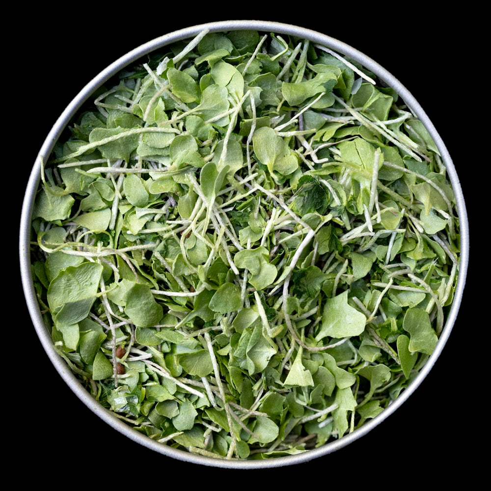 BeMicro broccoli booster tin label shows compact, freeze-dried greens for easy meals