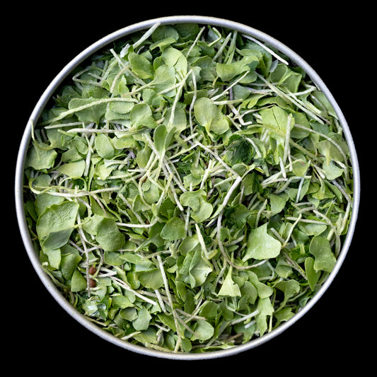 BeMicro broccoli booster tin label shows compact, freeze-dried greens for easy meals