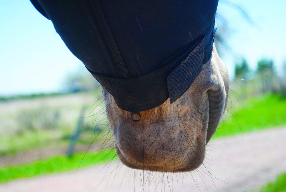 Benefab Lycra Hood line-dry and machine-wash-ready for busy barn days