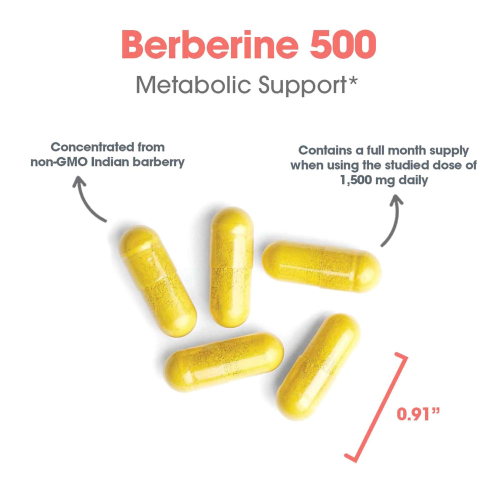 Berberine HCl 97% powder close-up showing high-potency extract.