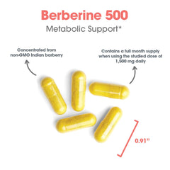 Berberine HCl 97% powder close-up showing high-potency extract.