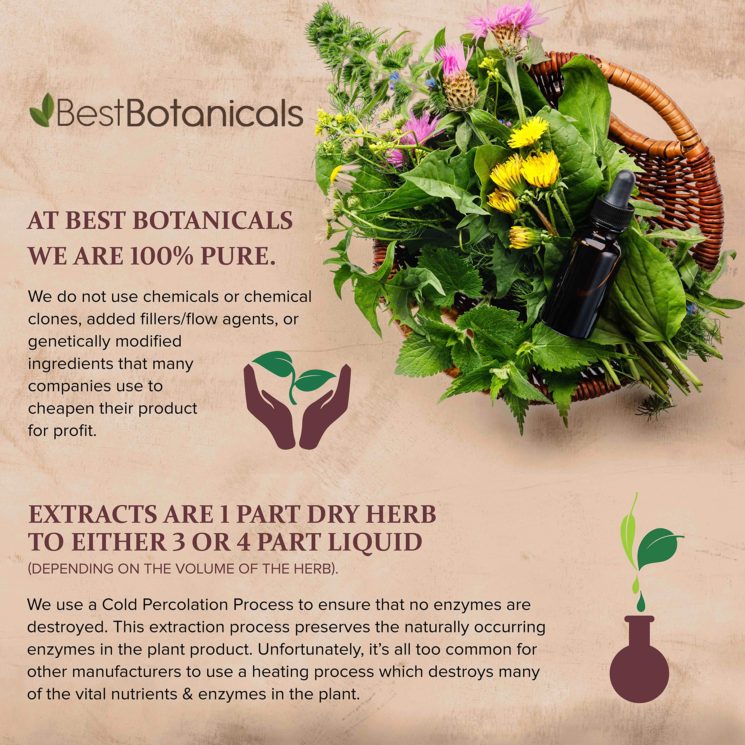 Best Botanicals Slippery Elm Bark Powder texture close-up for smooth mixing