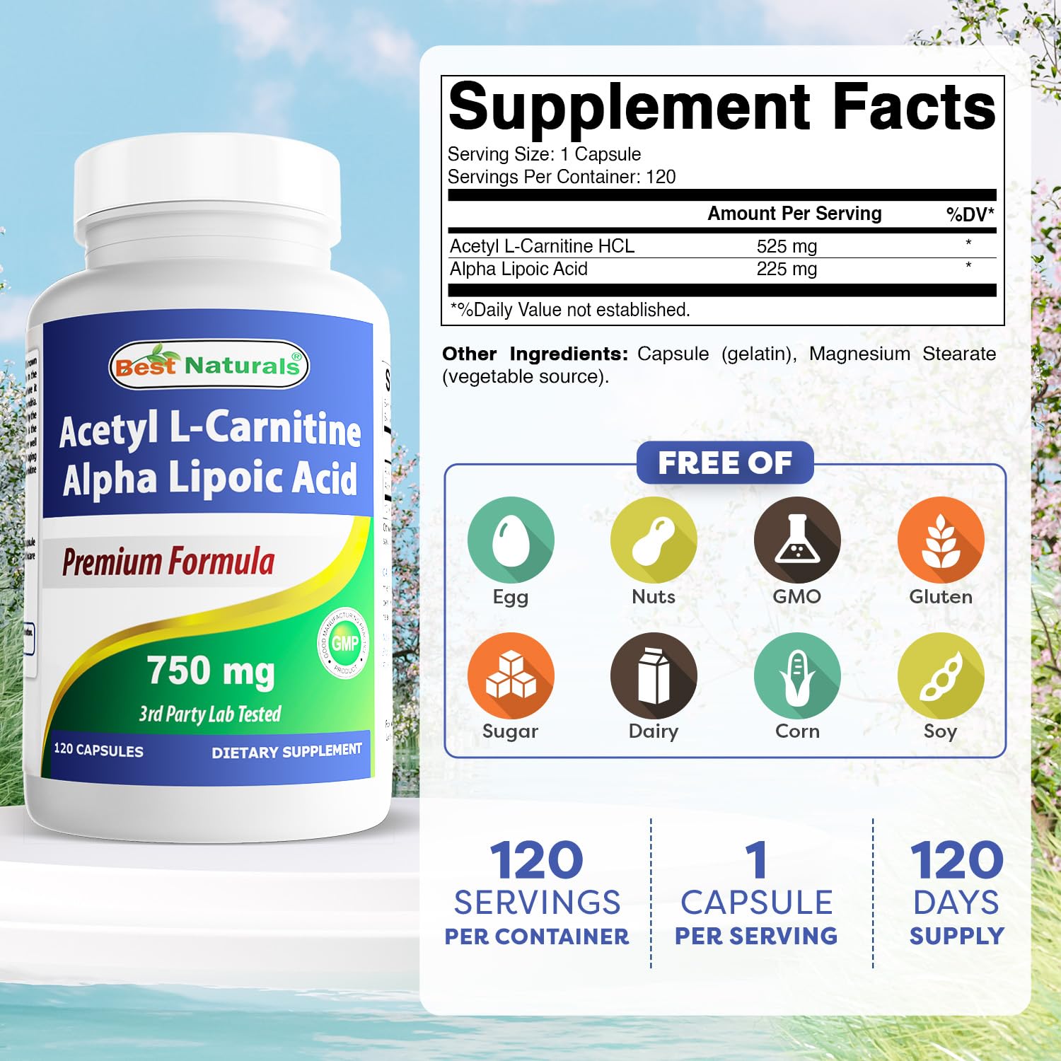 Best Naturals Acetyl L-Carnitine Alpha Lipoic Acid bottle side highlights purity and capsule quality.