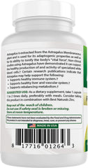 Best Naturals Astragalus capsules on white background for purity