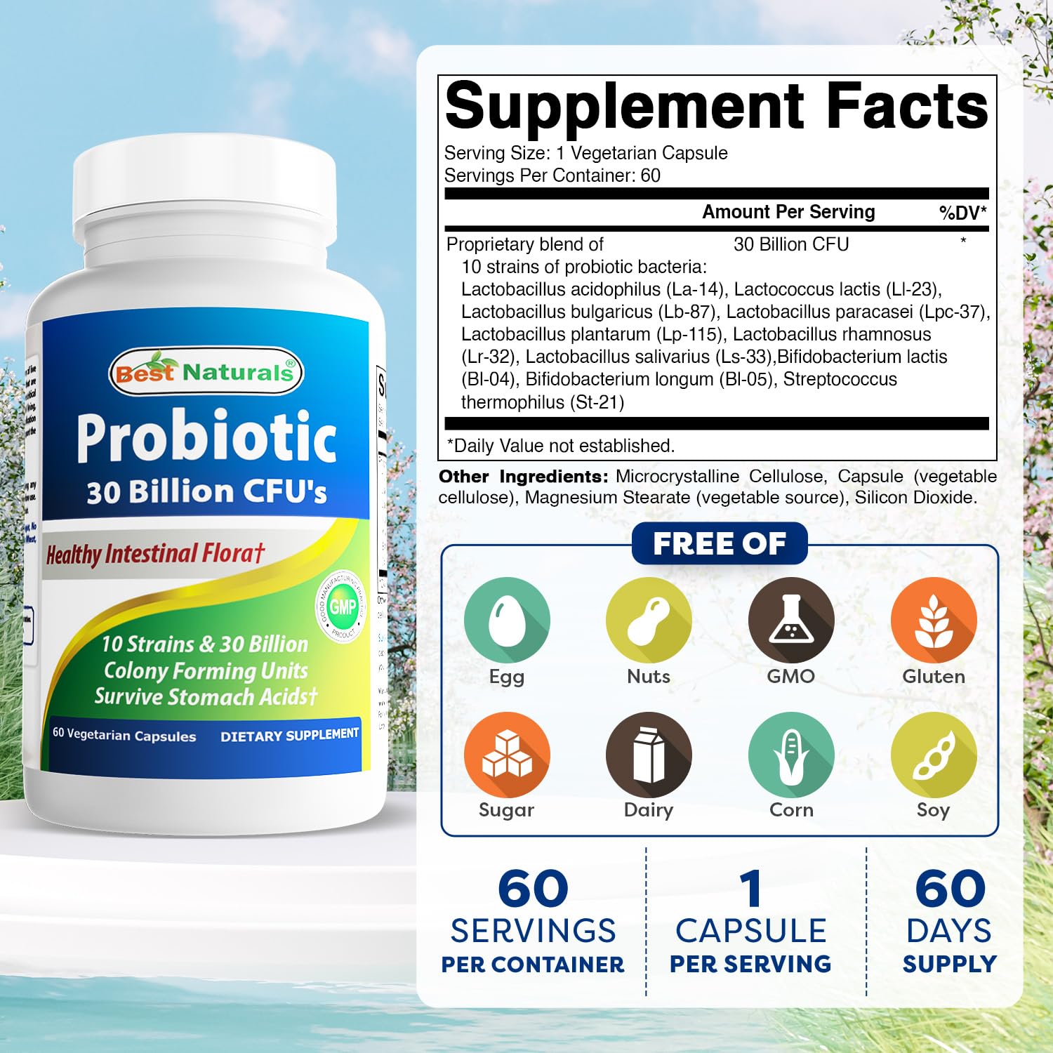 Best Naturals probiotic bottle side panel highlighting 60 vegan capsules per bottle.