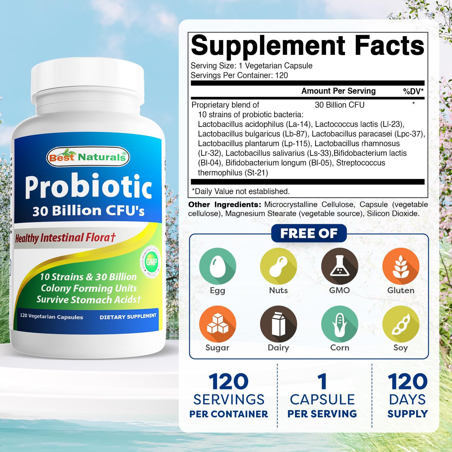 Best Naturals Probiotic 10 Strains capsules close-up for easy daily dosing.