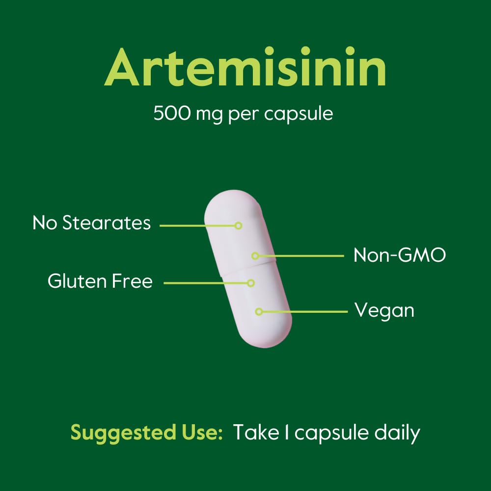 Bestvite Artemisinin 500mg packaging box with product details.