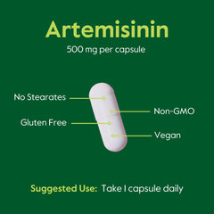 Bestvite Artemisinin 500mg packaging box with product details.