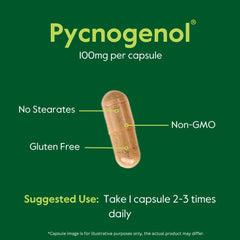 BESTVITE Pycnogenol ingredients panel highlights pine bark extract