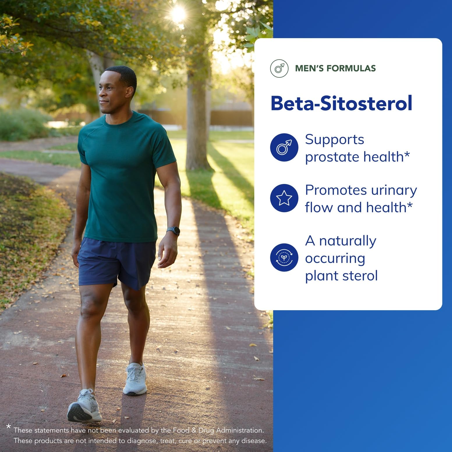 Ingredients close-up highlighting plant-based phytosterols.