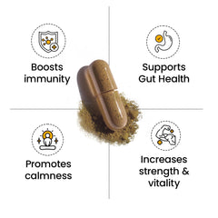 Better Alt Ashwagandha bottle suggesting support for balanced energy during busy days.