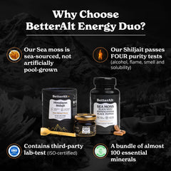 Better Alt Shilajit Resin being mixed with water for an easy daily ritual.