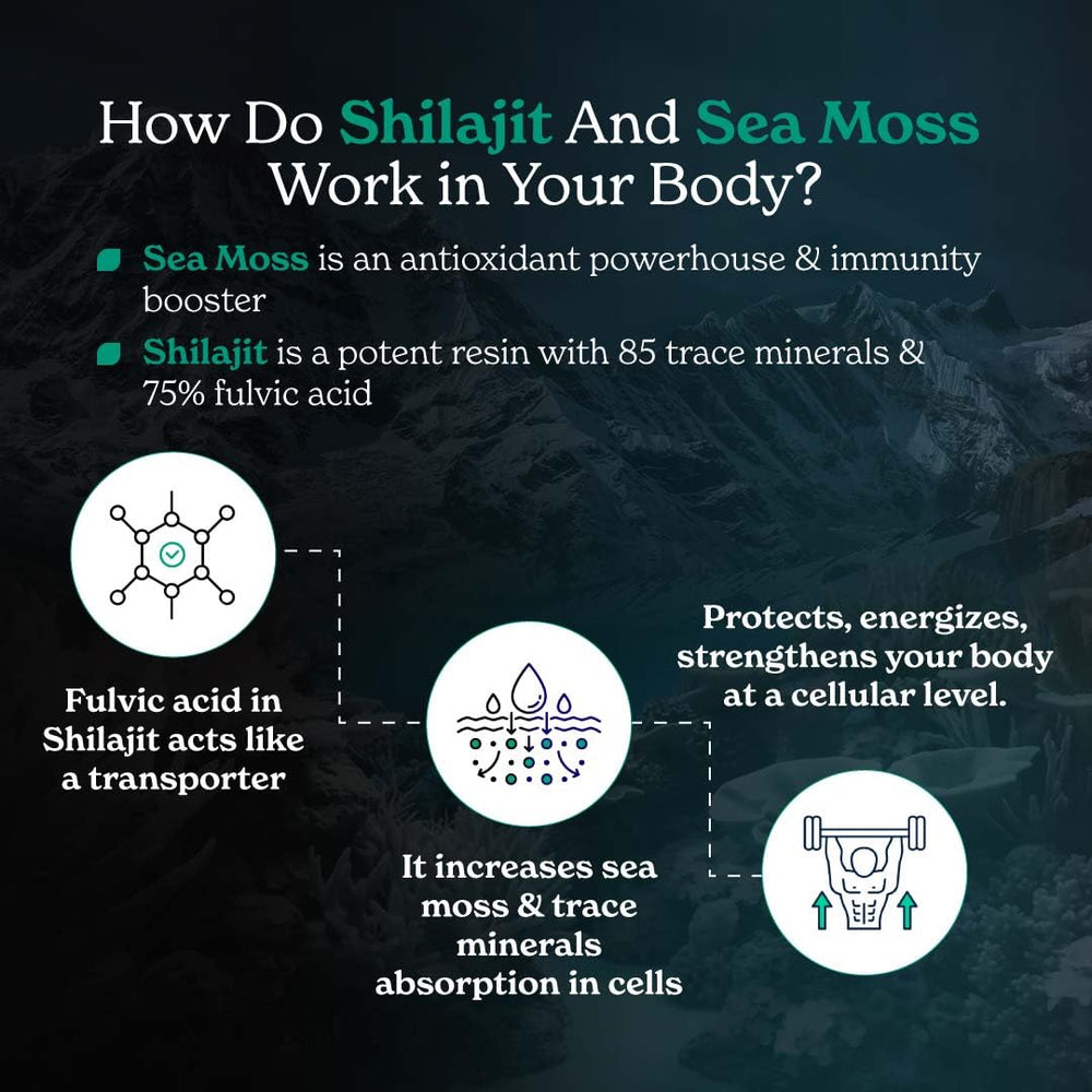 Better Alt Shilajit Sea Moss capsules bottle back with ingredients and usage