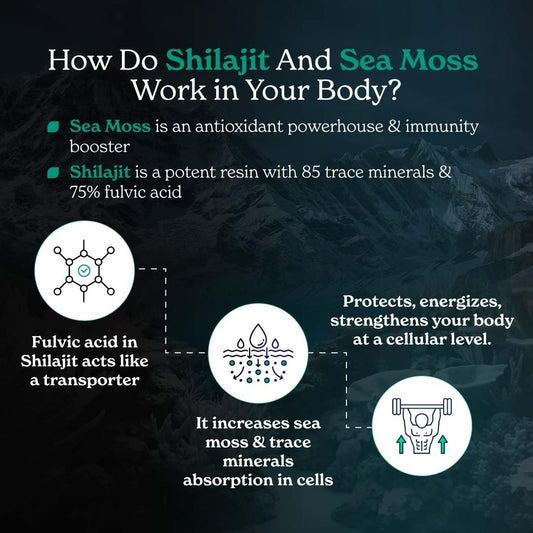 Better Alt Shilajit Sea Moss capsules bottle back with ingredients and usage