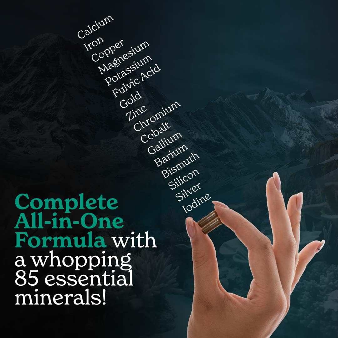 Better Alt Shilajit Sea Moss capsules closeup showing capsule texture