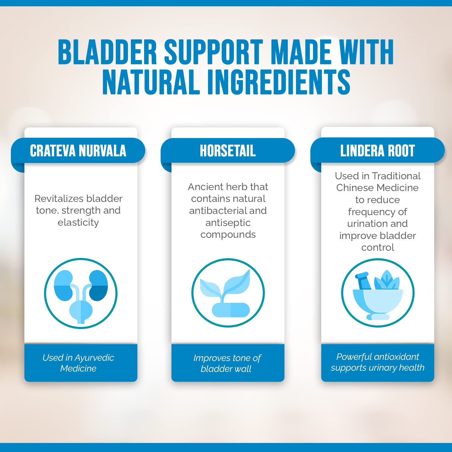Better Bladder clinical study graph hints at improved daytime frequency