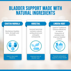 Better Bladder clinical study graph hints at improved daytime frequency