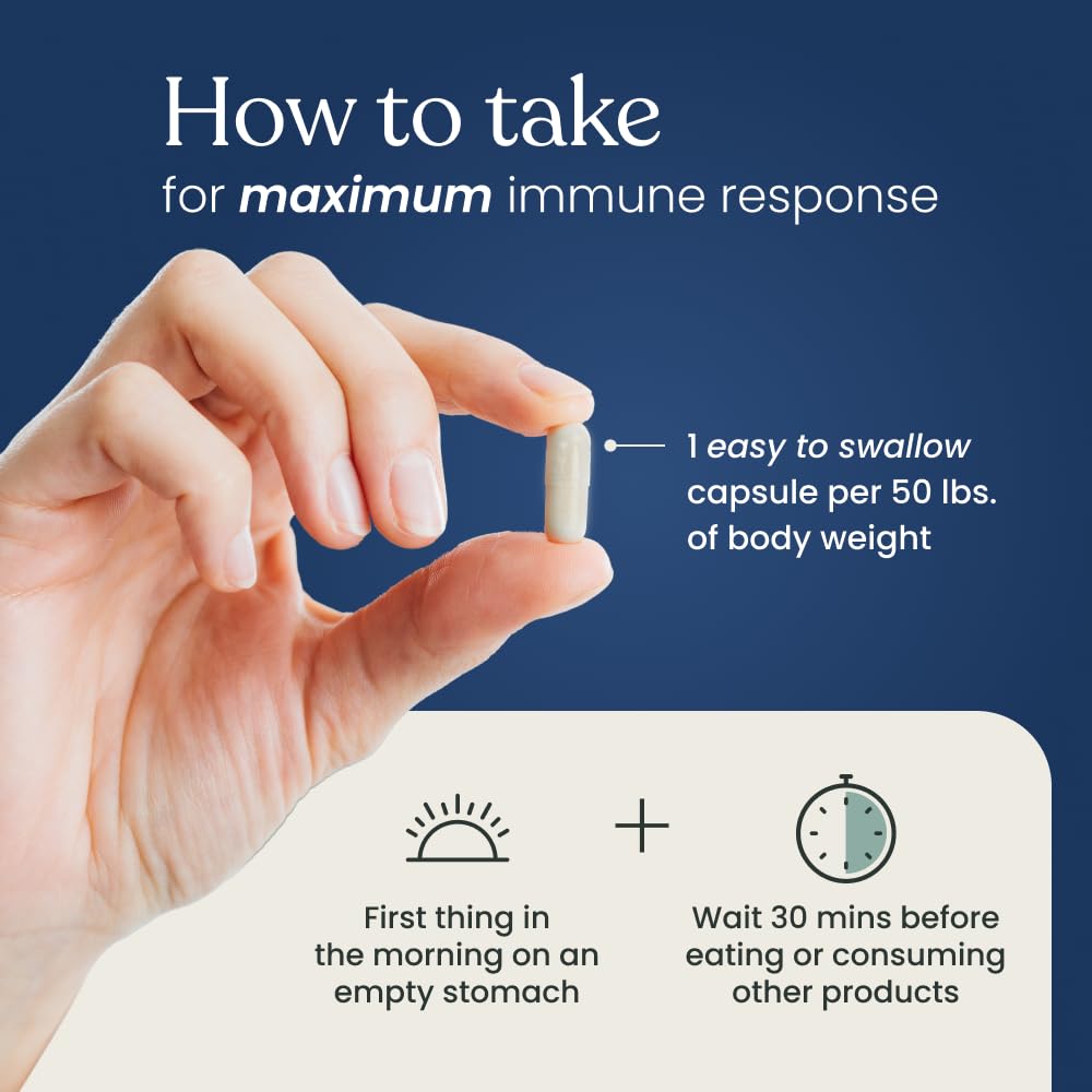 Better Way Health Beta Glucan 500 packaging on white background for convenient daily immune support