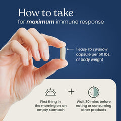 Better Way Health Beta Glucan 500 packaging on white background for convenient daily immune support