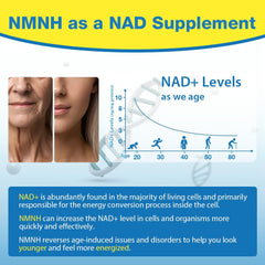 Beyyoly NMNH capsule cap shows easy daily dosing for NAD+ support.