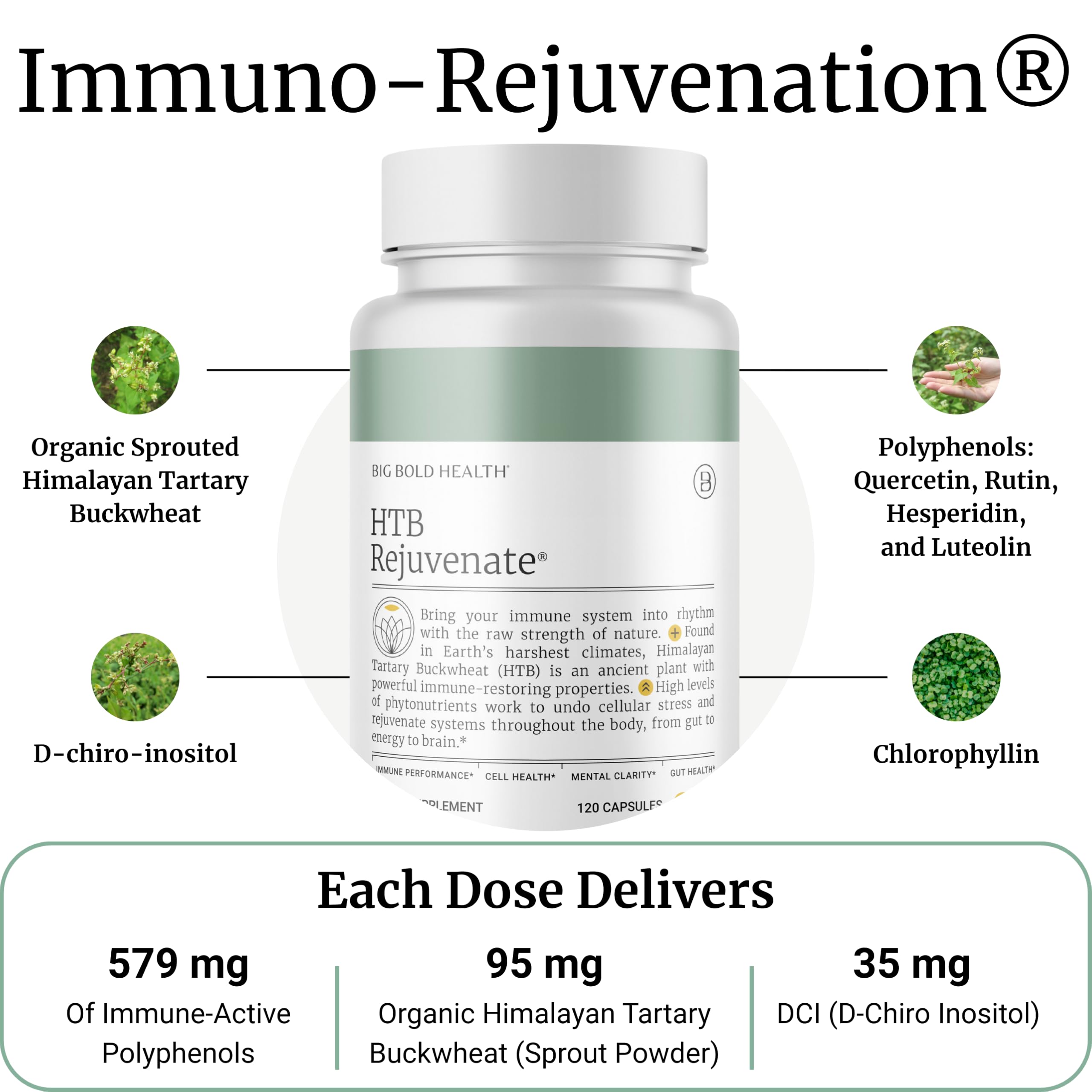 Close-up of Big Bold Health HTB Immune Rejuvenate capsules showing polyphenol-rich formulation.