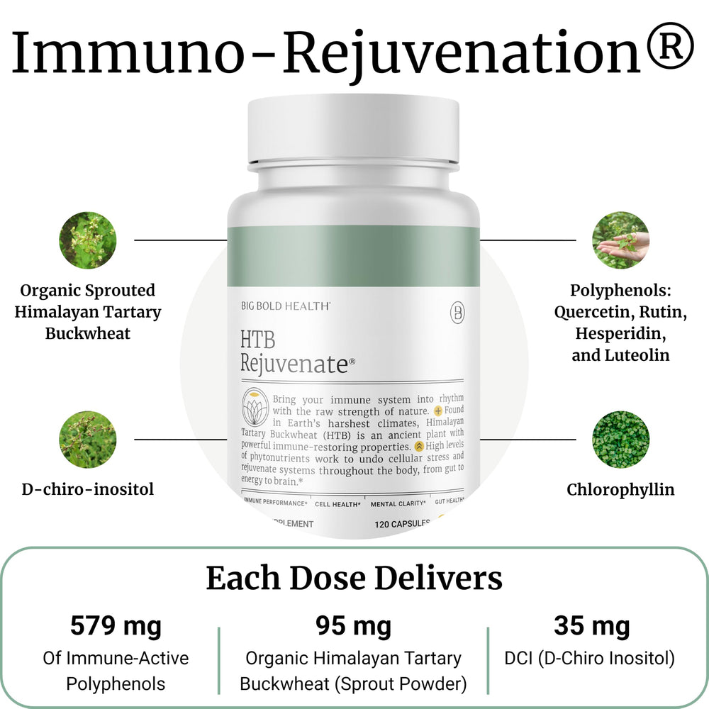Close-up of Big Bold Health HTB Immune Rejuvenate capsules showing polyphenol-rich formulation.