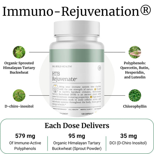 Close-up of Big Bold Health HTB Immune Rejuvenate capsules showing polyphenol-rich formulation.