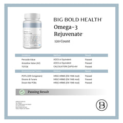 BIG BOLD HEALTH Immune balance concept with PRMs illustration.