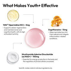 BIGVITA Youth+ glass with liquid suggests skin and hair vitality.
