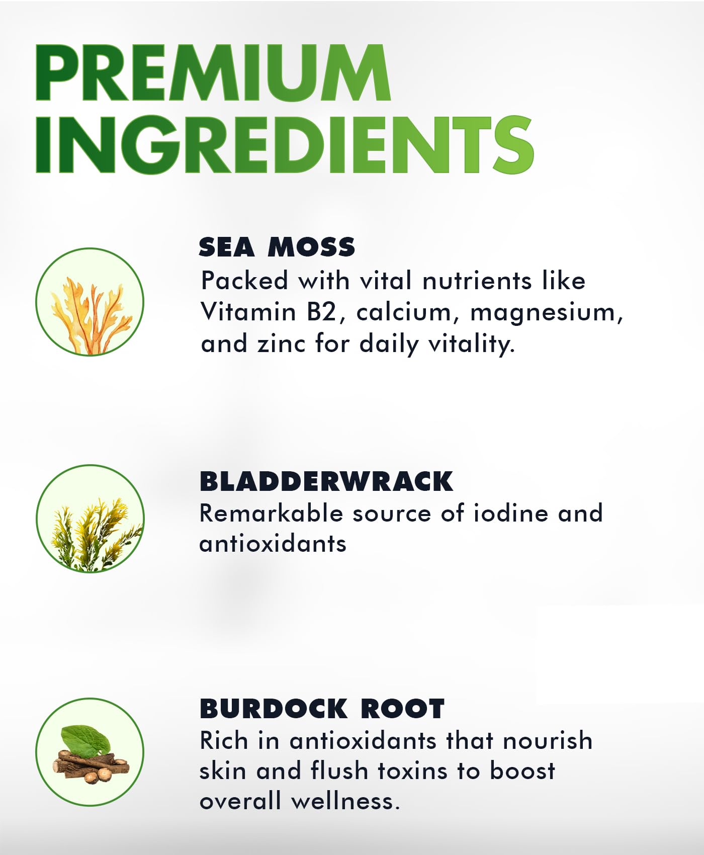 BIO VITALICA Sea Moss Gummies ingredients spotlight: Irish sea moss, bladderwrack, burdock root minerals.