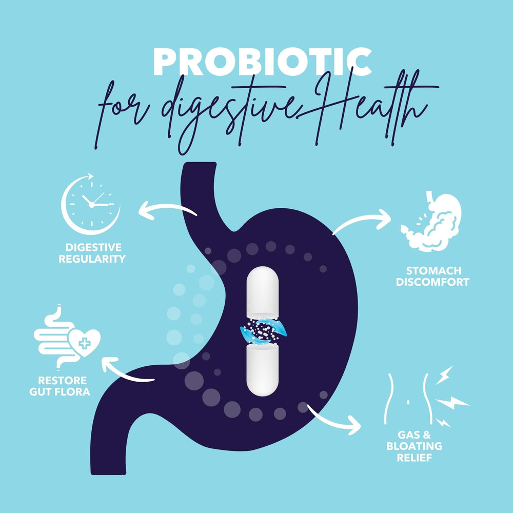 Bio360 fifteen-strains probiotic illustrates diverse gut flora support.