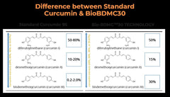 BIOBDMC NovoCurcumin capsules close-up showing easy-to-swallow form.