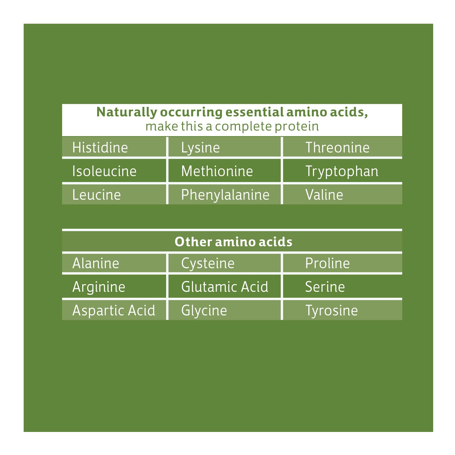 Biochem vegan protein chocolate packaging sustainable eco-friendly materials protect the product.