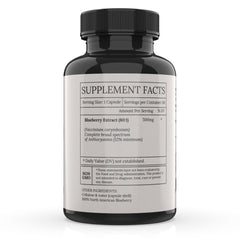 BioImmersion blueberry extract capsules ready for daily antioxidant use