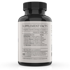 BioImmersion Cranberry Pomegranate Synbiotic capsules shown in a row; vegan and excipient-free for daily use.
