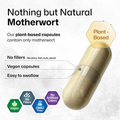 BIO KRAUTER capsules inside bottle ready for daily use.