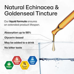 BIO KRAUTER Echinacea Goldenseal ingredients panel shows simple, pure ingredients.