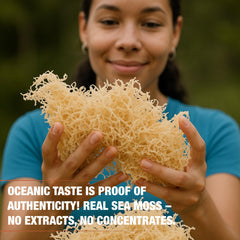 USA-made Biolore sea moss gel in a glass jar.