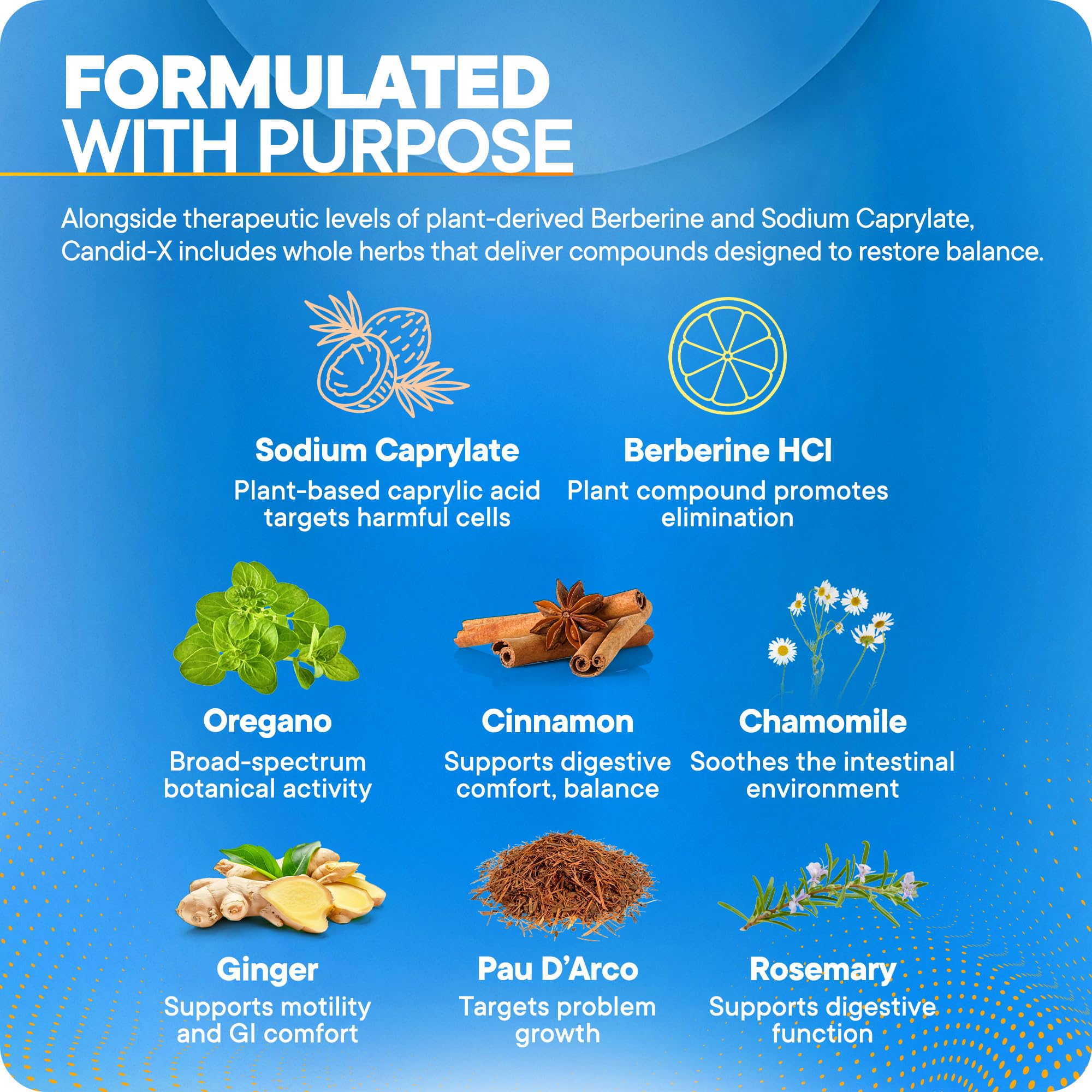 BioMatrix Candid-X capsules on white surface illustrate easy daily capsule format.