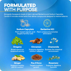 BioMatrix Candid-X capsules on white surface illustrate easy daily capsule format.