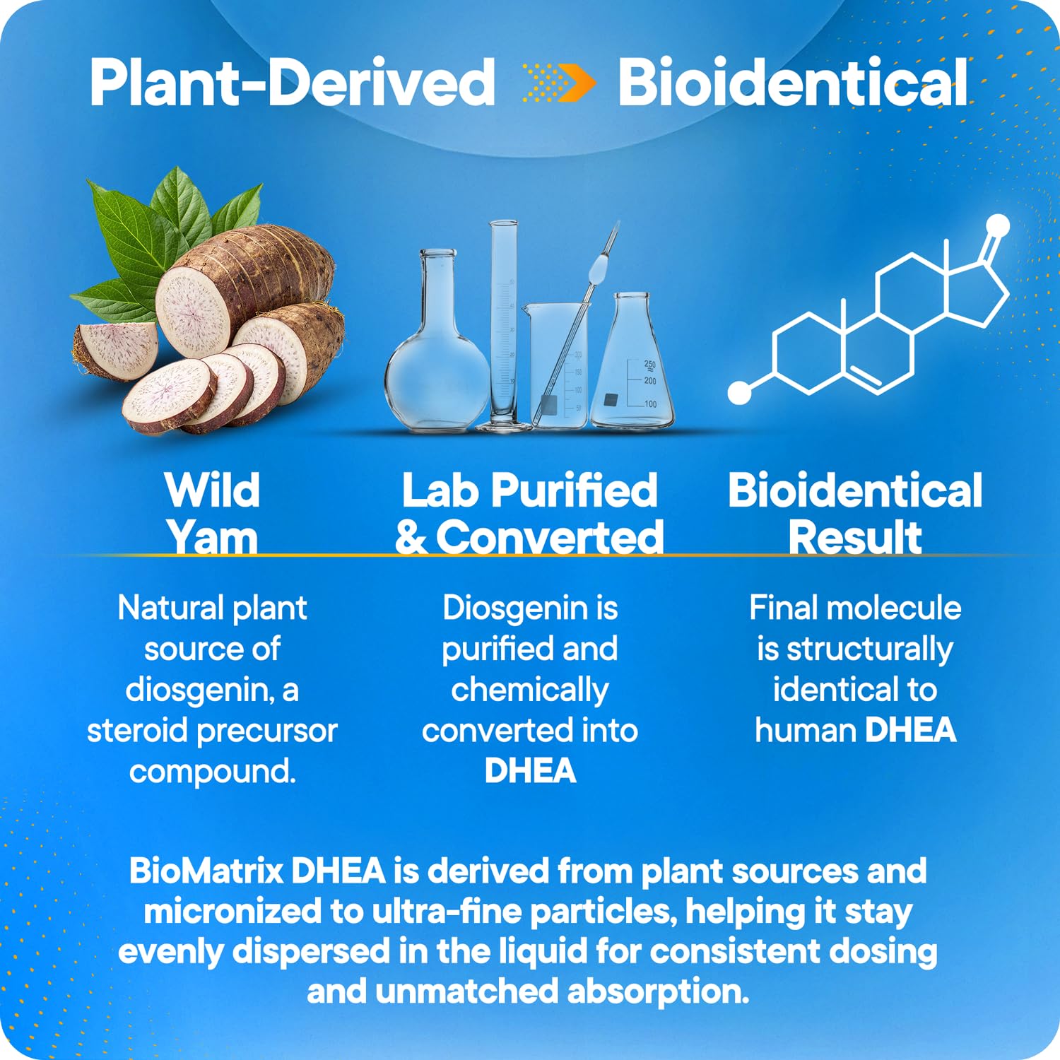 BioMatrix DHEA precision-dosing display emphasizes customizable intake.