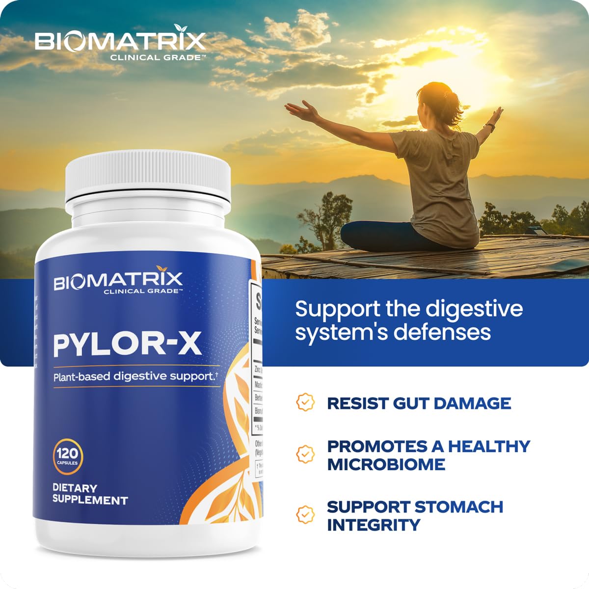 BioMatrix Pylor-X berberine ingredient close-up for microbiome balance