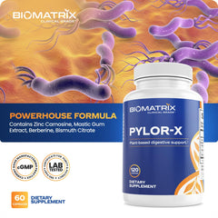 BioMatrix Pylor-X mastic gum depiction supporting gut sensation